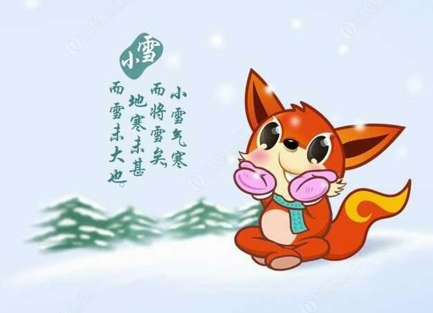 天寒地冻打正确一个生肖的全面释义、解释与落实、前沿解答解释落实